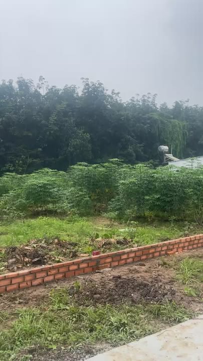 Đất Long Phước, Long Thành, Đồng Nai 125m² giá 1.3 tỷ - Cơ hội đầu tư sinh lời cao!