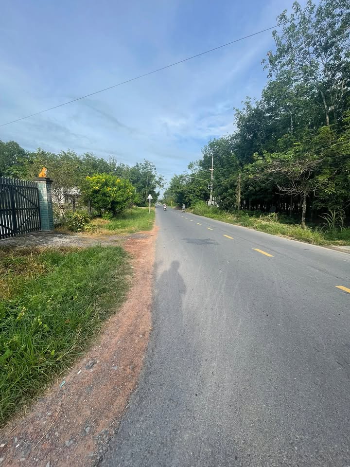 Đất Phước Đông, Gò Dầu 250m² giá 635 triệu - Đầu tư sinh lời ngay!