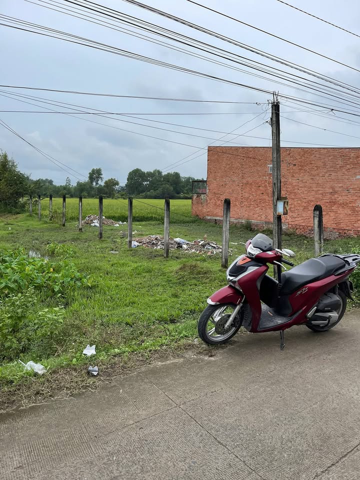 Đất nền chính chủ Đức Hòa 1182m² giá 4.94 tỷ - Sổ đỏ pháp lý rõ ràng!