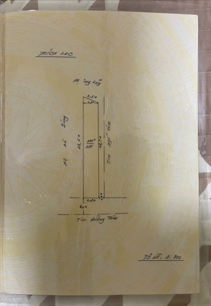Đất nền mặt đường Bùi Thị Từ Nhiên, Đông Hải, Hải Phòng 115m² - Chính chủ bán gấp!