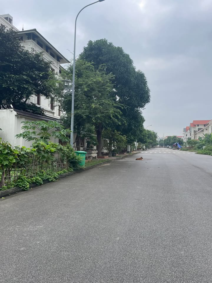 Đất nền 2 mặt tiền Lê Hồng Phong, Hải Phòng 308m² giá 21.56 tỷ - Cơ hội đầu tư tuyệt vời!