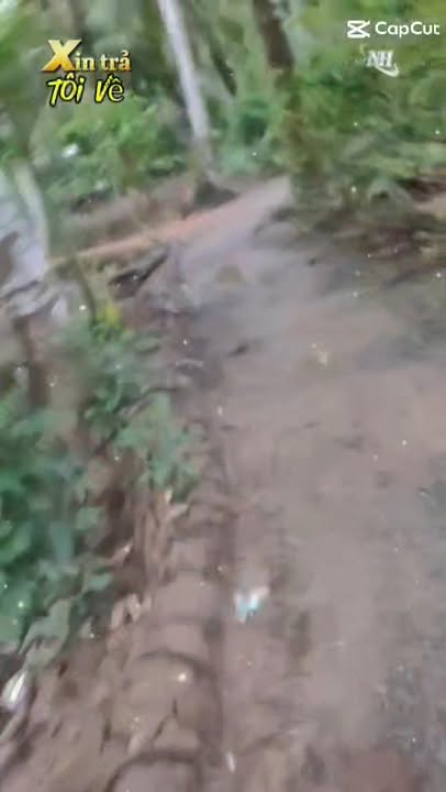 Đất vườn dừa 3500m² tại Bình Khánh, Mỏ Cày Nam - Giá 1.5 tỷ, thương lượng tốt!