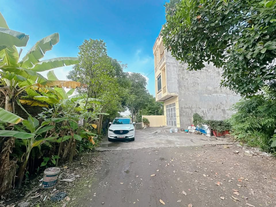 Đất nền chính chủ tại khu Hồng Hà 2, Phường Thanh Miếu, 81m² giá chỉ 1 tỷ - Cơ hội đầu tư tuyệt vời!