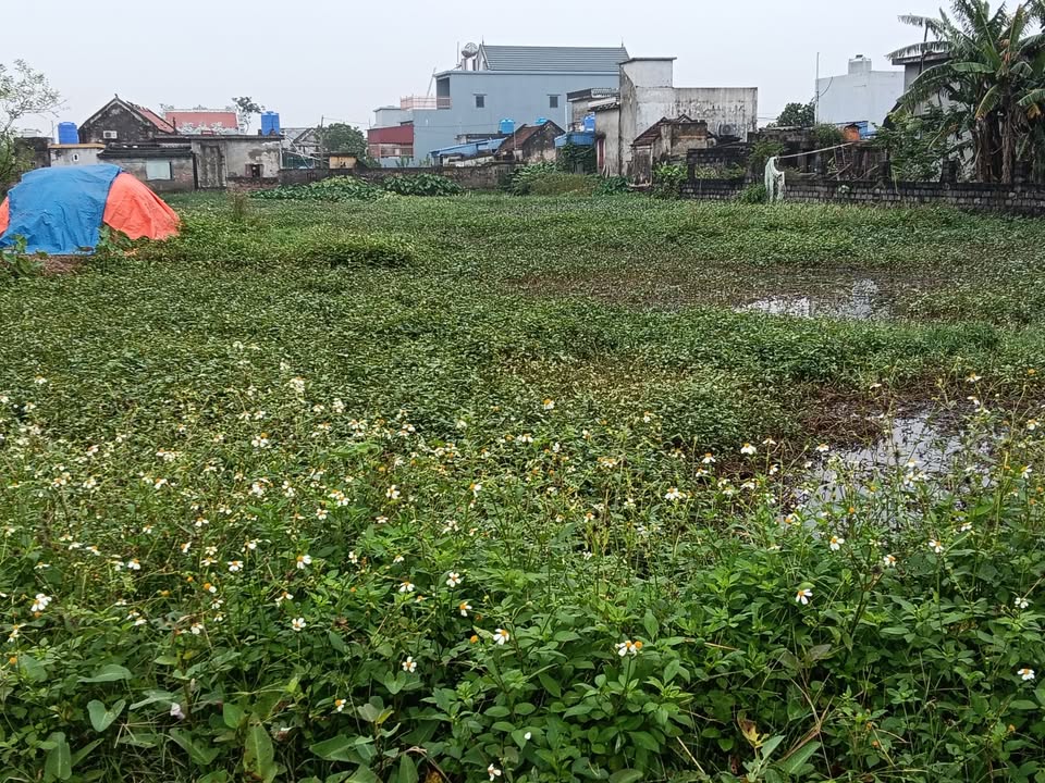 Đất nền Giao Hà 306m² giá 2 tỷ - Sổ đỏ chính chủ, vị trí đẹp!