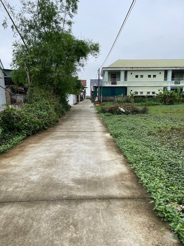 Đất nền 2 mặt tiền xã Diễn Hùng 240m² - Vị trí đắc địa gần chợ và trường học!