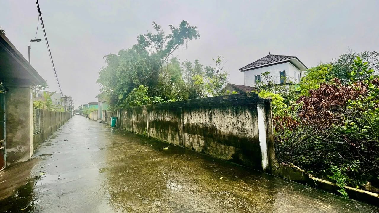 Đất Nền Nghi Kim 89m² giá 2.1 tỷ - Vị trí đẹp, gần UBND xã!