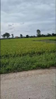 Đất nền Khánh Trung 100m² giá thỏa thuận - Cơ hội đầu tư hấp dẫn!