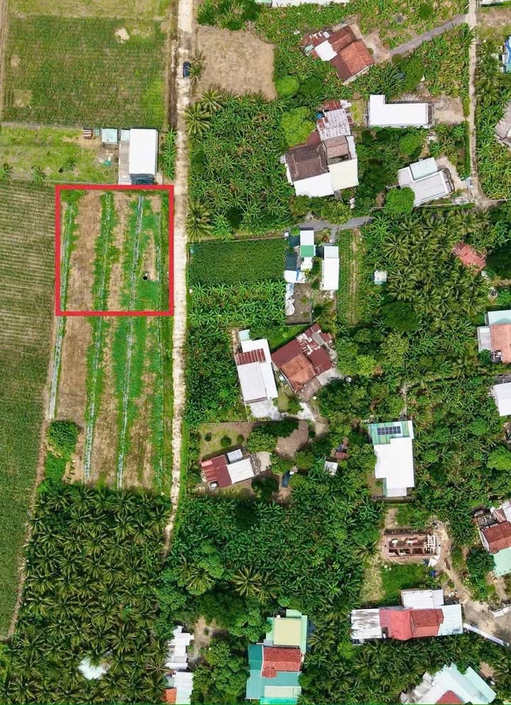 Đất thổ cư Diên Phước, Diên Khánh: 145m² giá 650 triệu - Đầu tư sinh lời ngay!