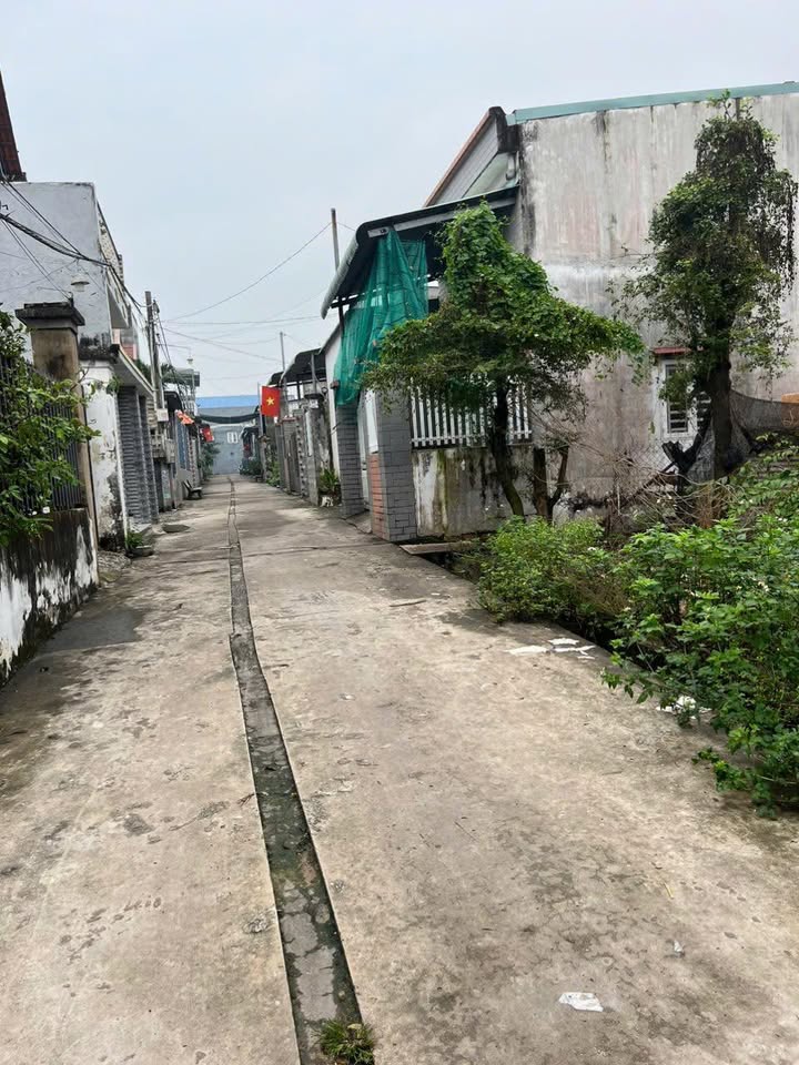 Đất nền Hố Nai 92m² giá 980 triệu - Sổ hồng chính chủ, vị trí đắc địa!