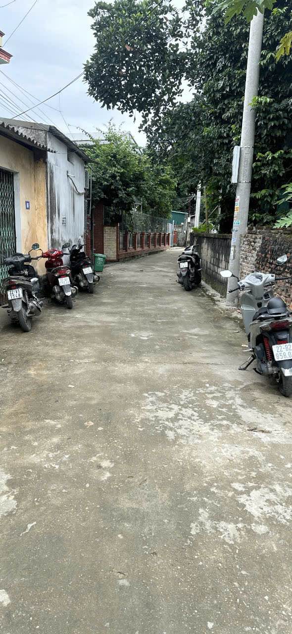 Đất thổ cư An Tường 184m² giá 2.6 tỷ - Đầu tư sinh lời ngay!