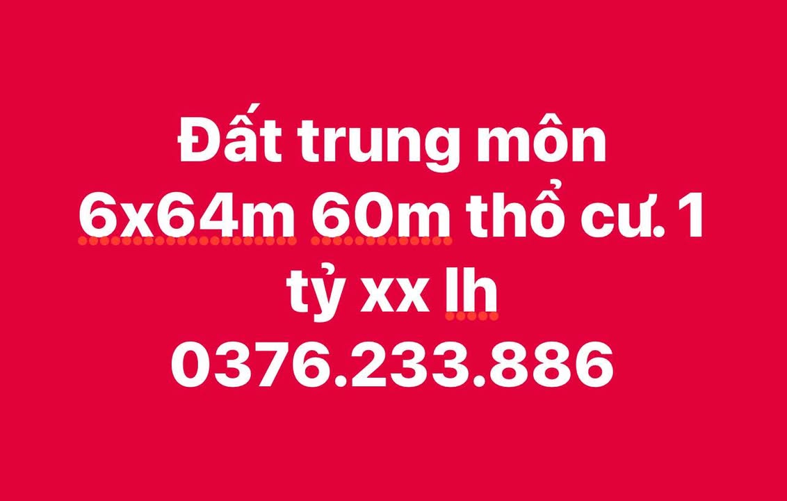 Đất nền Trung Môn Yên Sơn 384m² giá 1 tỷ - Đầu tư sinh lời ngay!