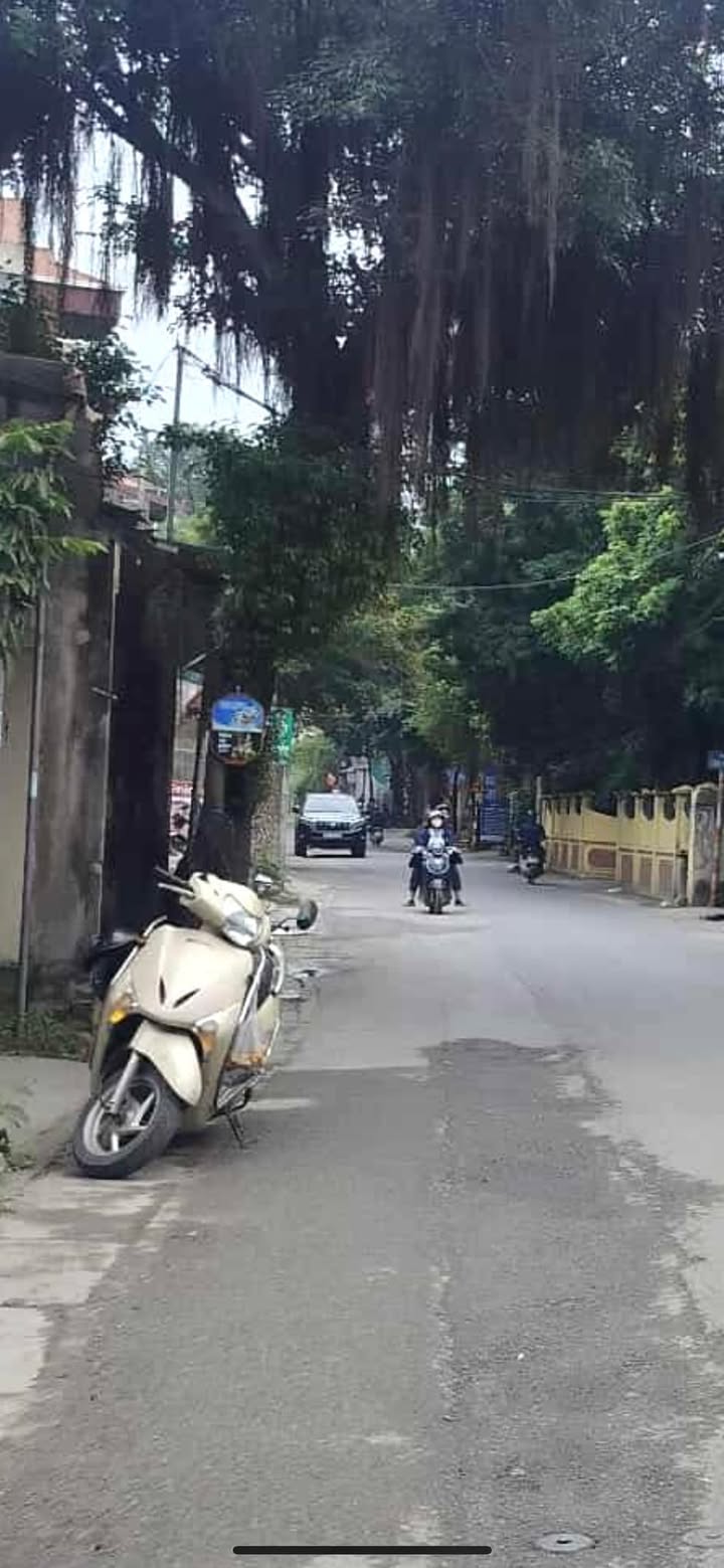 Đất Mặt Phố Đông Mỹ 116m² giá 15 tỷ - Đường 12m, Kinh doanh sầm uất!