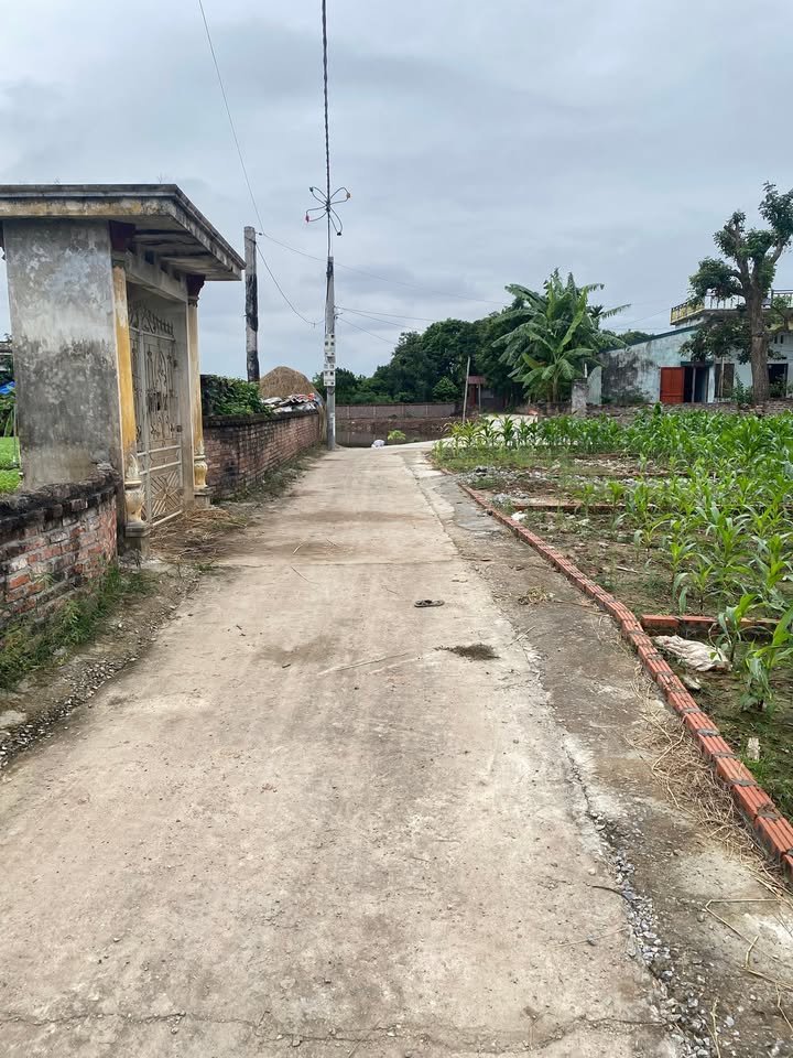 Đất nền Lương Tài Bắc Ninh 87m² giá 1 tỷ - Đầu tư sinh lời ngay!