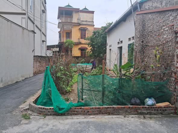 Đất lô góc Đào Xuyên, Đa Tốn, Gia Lâm 62m² giá 6 tỷ - Đầu tư sinh lời tốt!