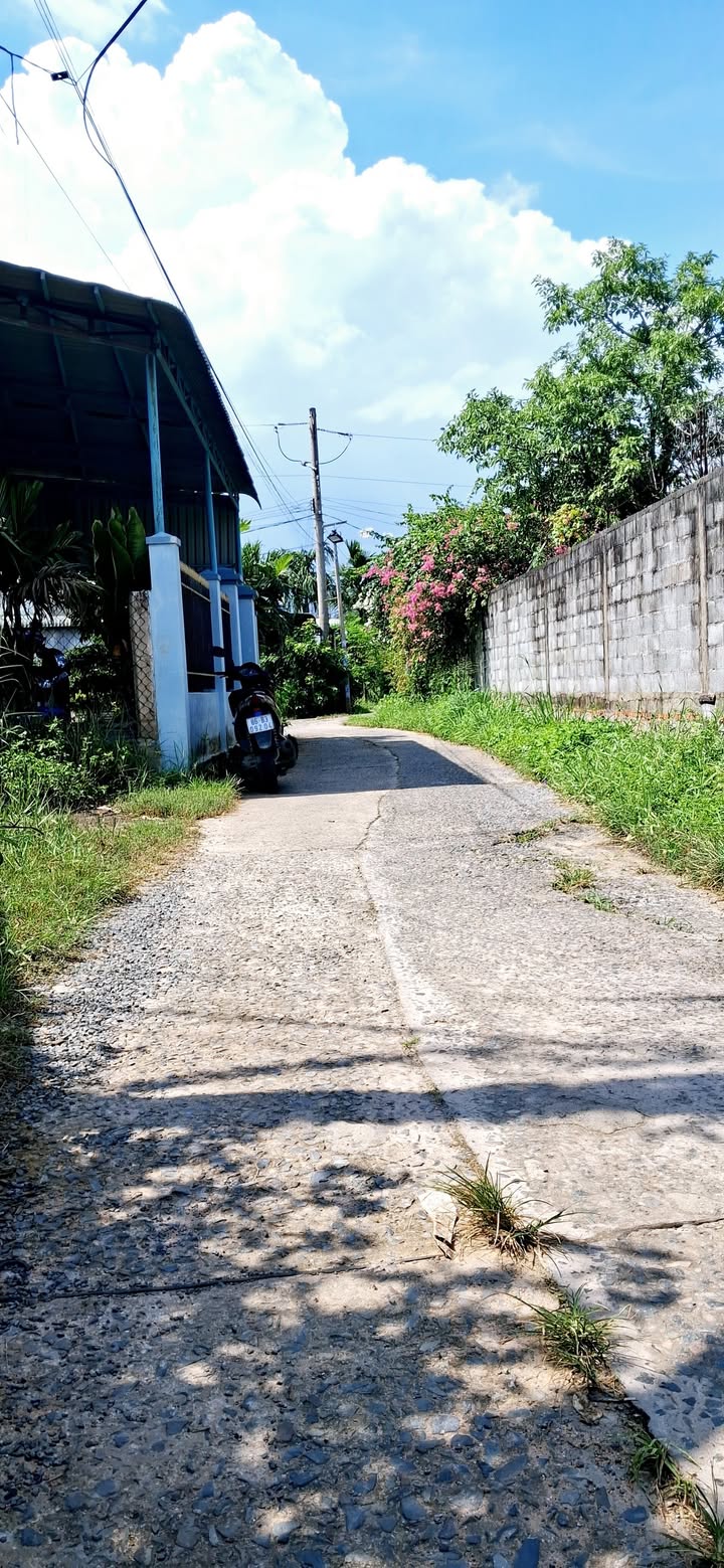 Đất nền 100m² thổ cư tại Phú Mỹ, Hàm Mỹ - Giá thỏa thuận hấp dẫn!