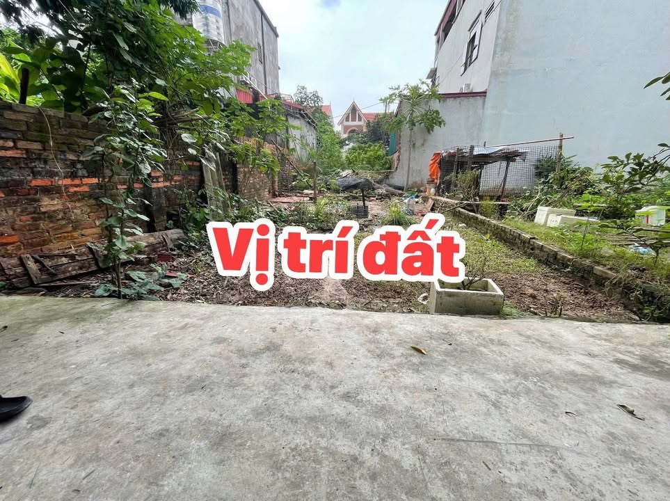 Đất nền 40m² Lâm Tiên, Nguyên Khê - Giá chỉ 3 tỷ, cơ hội đầu tư hấp dẫn!