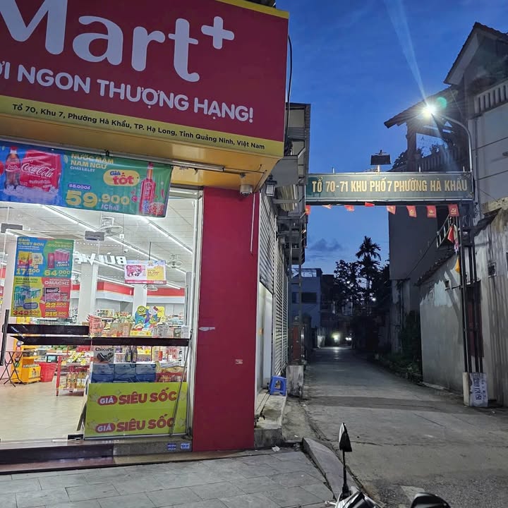 Đất nền chính chủ tại khu 7, phường Việt Hưng, Hạ Long - Giá chỉ 930 triệu/ô!