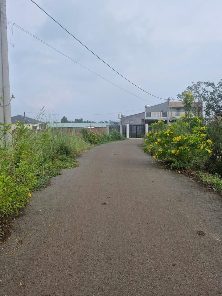 Đất thổ cư Nghĩa Thành, Châu Đức 2000m² giá 2.2 tỷ - Đầu tư lý tưởng!