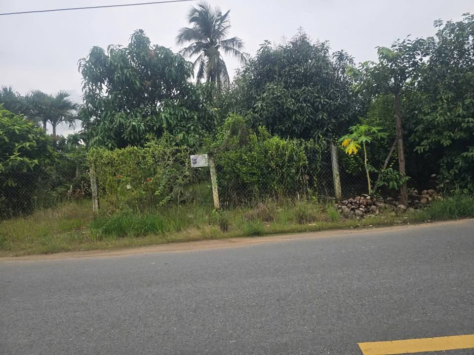 Đất thổ cư 271m² xã Phước Vân, huyện Cần Đước - Giá chỉ 2 tỷ, sổ hồng chính chủ!