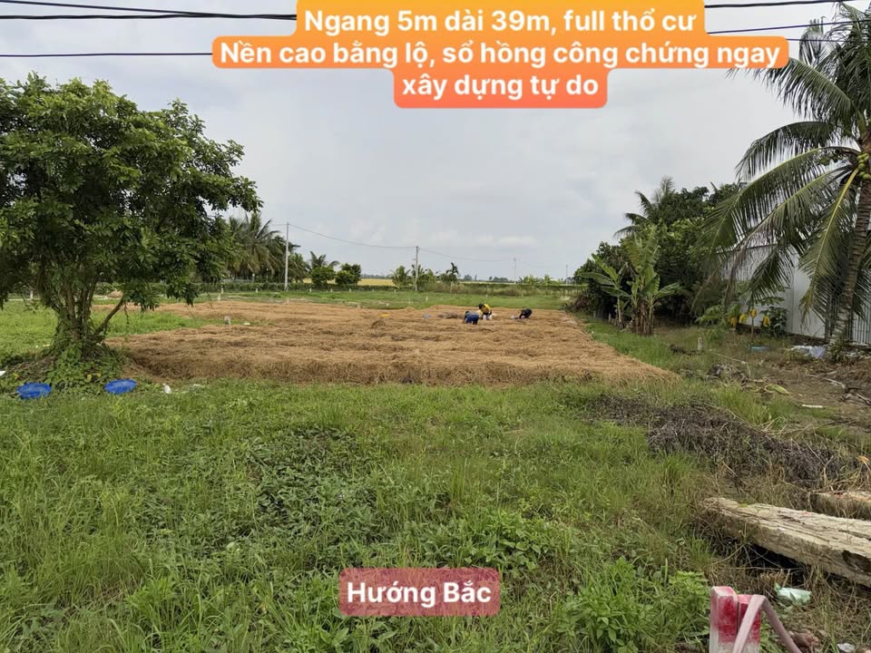 Đất nền mặt tiền Kinh Đòn Dông, xã Thạnh Lộc, 195m² giá 750 triệu - Đầu tư sinh lời ngay!