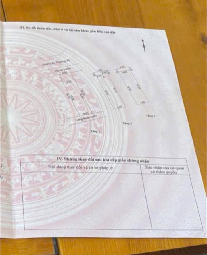 Nhà 3 tầng mặt tiền đường An Thượng 20, Ngũ Hành Sơn, 81m² giá 14 tỷ - Đầu tư sinh lời ngay!