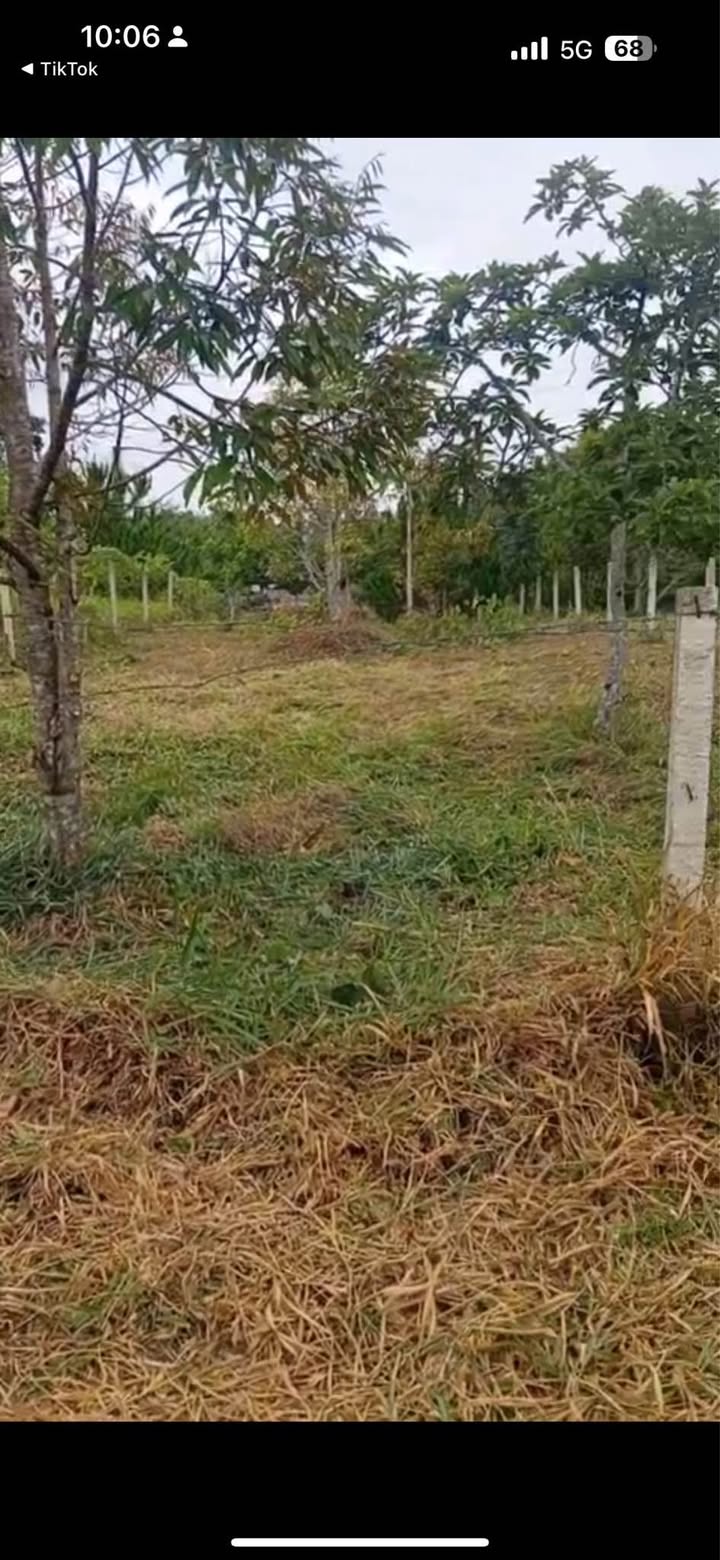 Đất nền Lộc An Bảo Lâm 600m² giá 1.25 tỷ - Cơ hội đầu tư tuyệt vời!