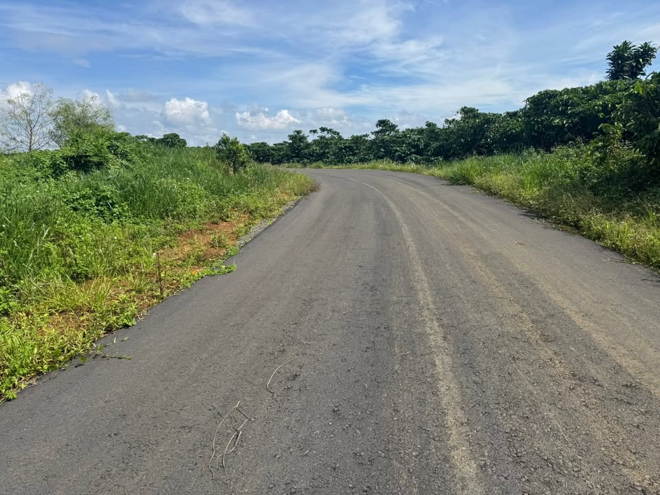 Đất nền 16.000m² mặt tiền đường Đoàn Thị Điểm - Giá 5.7 tỷ, thương lượng