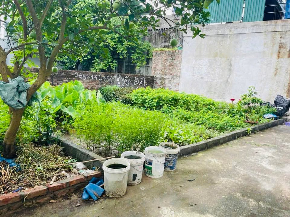 Đất nền Hồng Vân, Thường Tín 48,3m² giá 2 tỷ - Đầu tư sinh lời ngay!