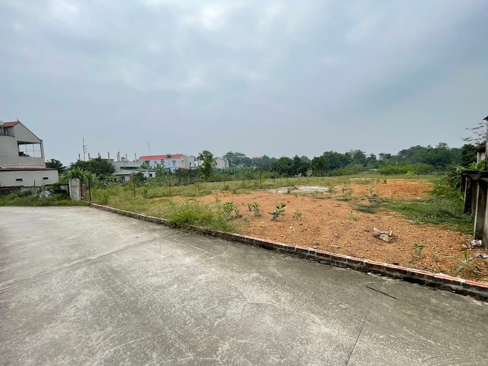 Đất ở thôn Tân An, Ba Vì 730m² - Sổ hồng chính chủ, giá thỏa thuận!