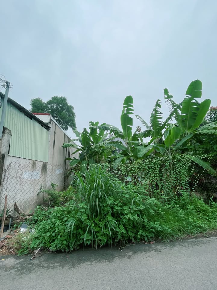 Đất thổ cư Phú Hoà Thủ Dầu Một 125m² giá 2.89 tỷ - Gần trường Tiểu học