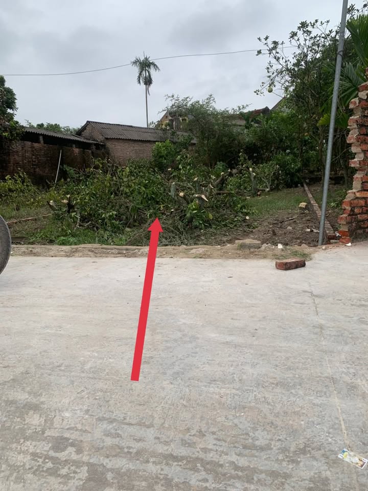 Đất nền Hoàng Thanh Hiệp Hòa 99m² giá chỉ 700 triệu - Đầu tư siêu lợi nhuận!