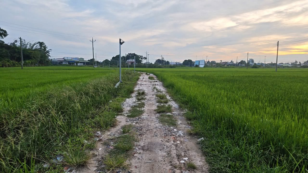 Bán lô đất 510m² tại Hẻm Nguyễn Trãi, La Gi chỉ 1 tỷ - Tiềm năng phát triển vượt trội!