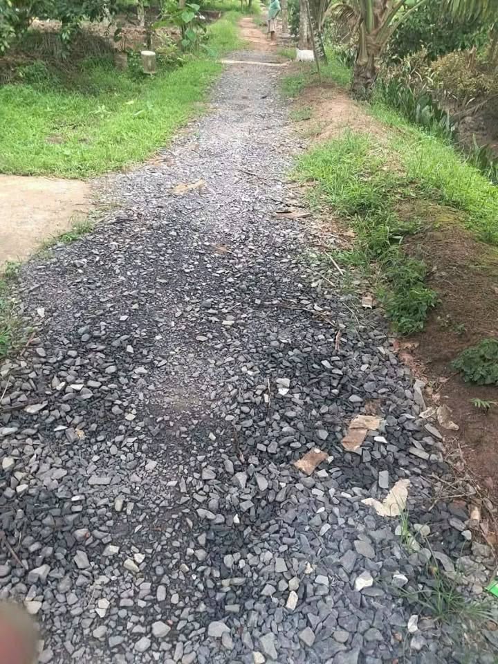 Đất vườn dừa xiêm 5000m² tại Tam Phước - Giá chỉ 600 triệu