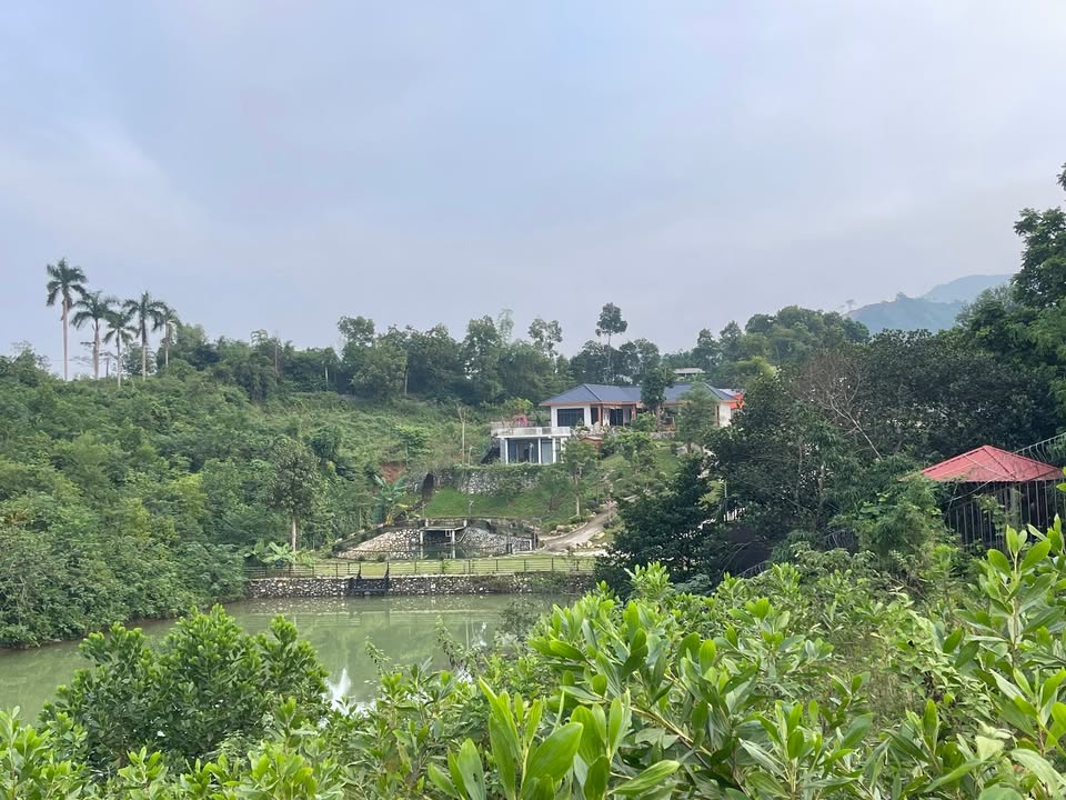 Đất nền góc 2 mặt tiền Cư Yên, Lương Sơn 630m² - Tiềm năng đầu tư lớn!