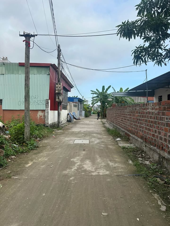 Đất nền Hoa Động Thủy Nguyên 56m² giá chỉ 1.78 tỷ - Đường ô tô vào tận cửa!