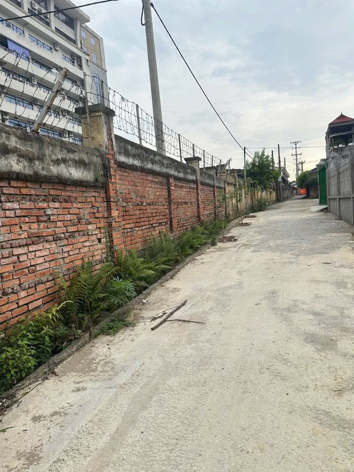 Đất nền 200m² trung tâm Thị trấn Thắng - Hiệp Hòa - Bắc Giang chỉ 1.1 tỷ - Đường ô tô đỗ cửa!