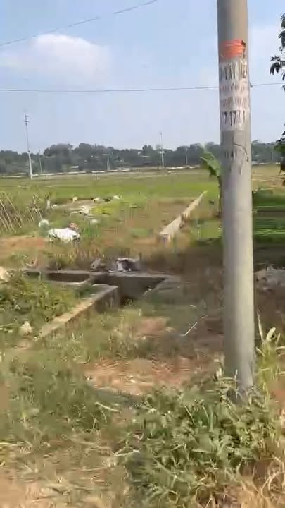 Đất thổ cư 100m² đường 88 Sơn Tây - Giá chỉ 3 tỷ, đầu tư sinh lời!