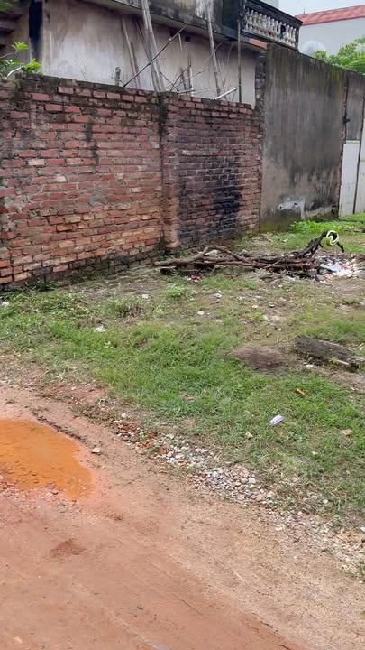 Đất nền Châu Minh, Hiệp Hòa 85.7m² giá 1 tỷ - Đầu tư sinh lời cao!