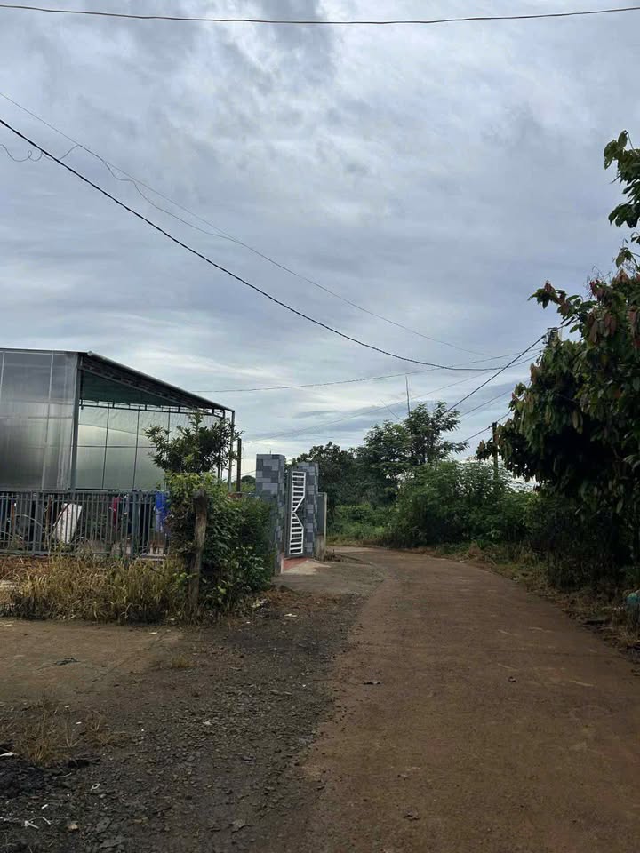 Đất thổ cư Đăk Kim 344m² giá 710 triệu - Cơ hội đầu tư hấp dẫn!