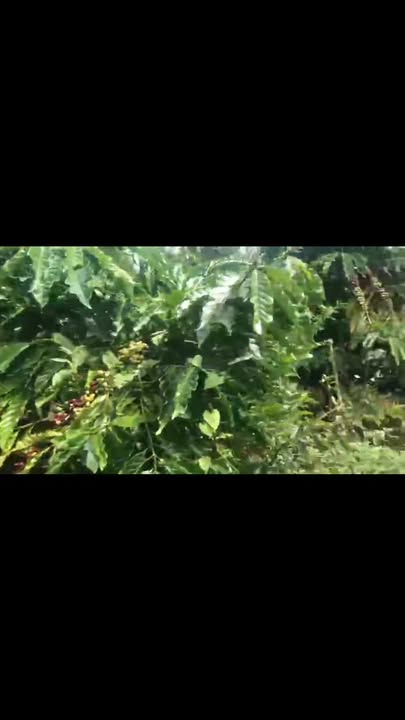 Đất nền Đức Minh, Đắk Mil 2010m² giá 9.6 tỷ - Đầu tư sinh lời ngay!