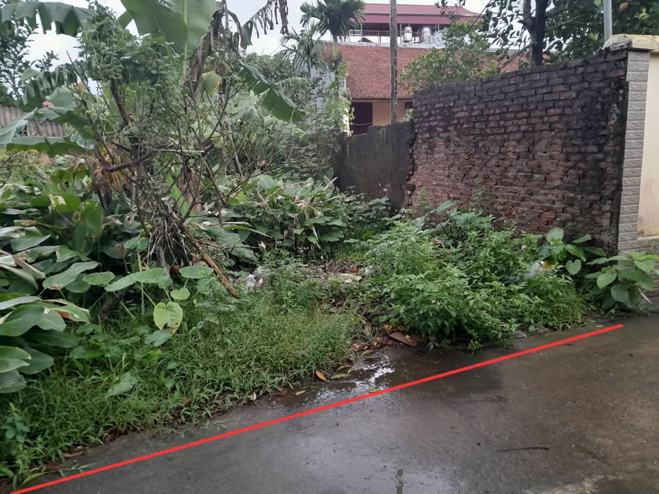 Đất nền Thôn Ngọc Liên, xã Kim An, 100m² giá chỉ 4,5 tỷ - Sổ đỏ chính chủ!