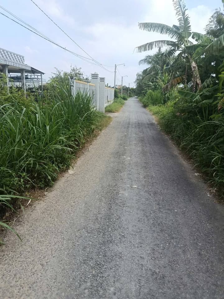 Đất nền Gò Công 276.5m² giá 690 triệu - Tặng nhà tiền chế đẹp ngay!