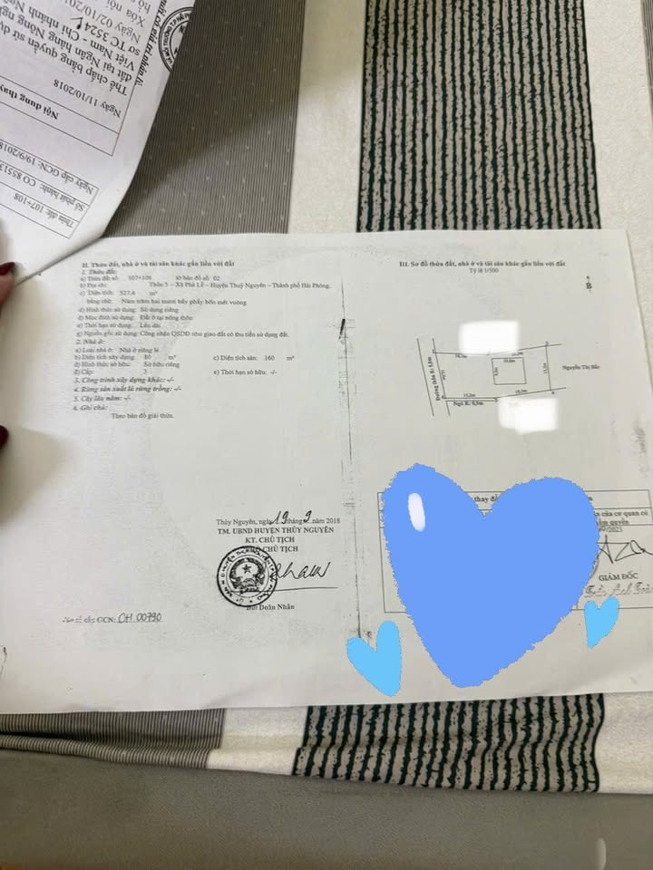 Đất nền mặt đường thôn Nam Triệu 500m² - Cơ hội đầu tư hấp dẫn!