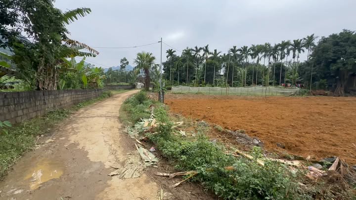 Đất thổ cư Mỵ Hòa Kim Bôi 2096m² - Giá đầu tư hấp dẫn!