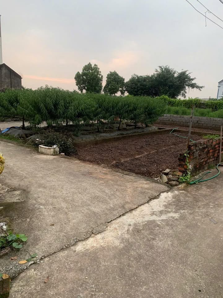 Đất nền chính chủ Thường Tín 40m² giá chỉ 2.65 tỷ - Ô tô vào tận nơi!