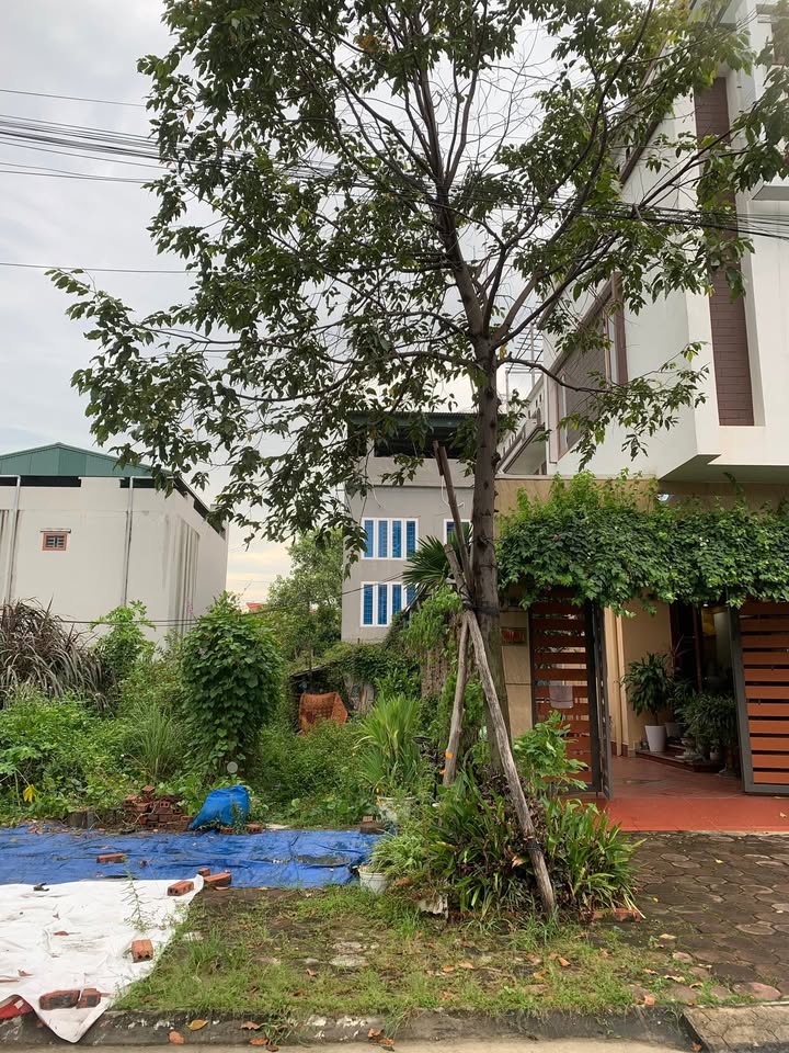 Đất nền Quang Trung Uông Bí 96m² giá 2.1 tỷ - Vị trí đắc địa, tiện ích đầy đủ!