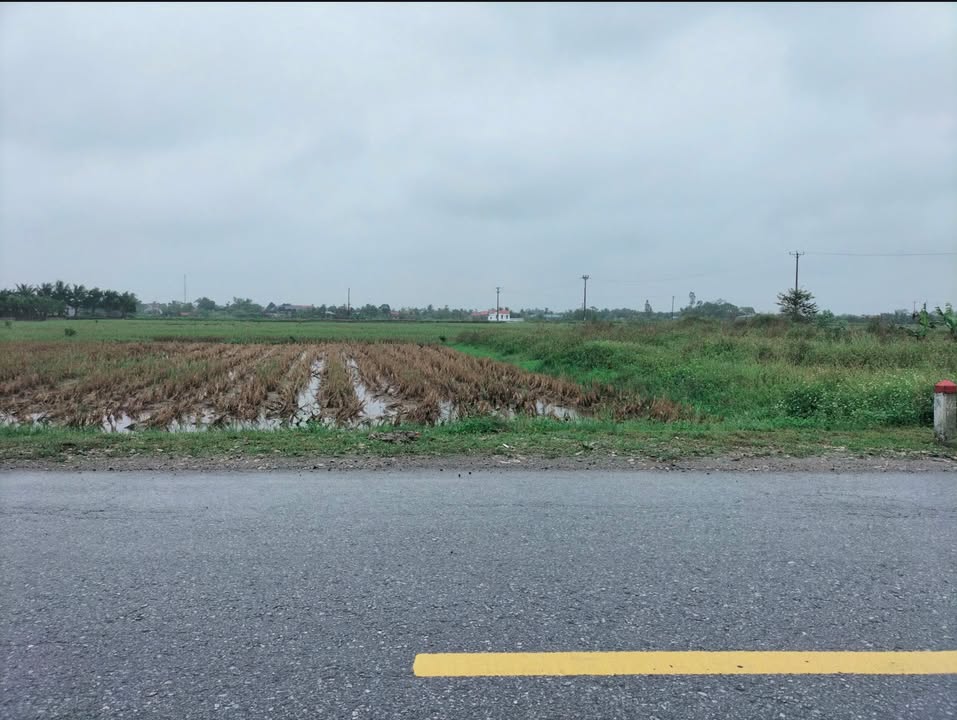 Đất nền Quốc lộ 10, xã Nga An, huyện Nga Sơn 100m² giá 1.1 tỷ - Cơ hội đầu tư sinh lời!