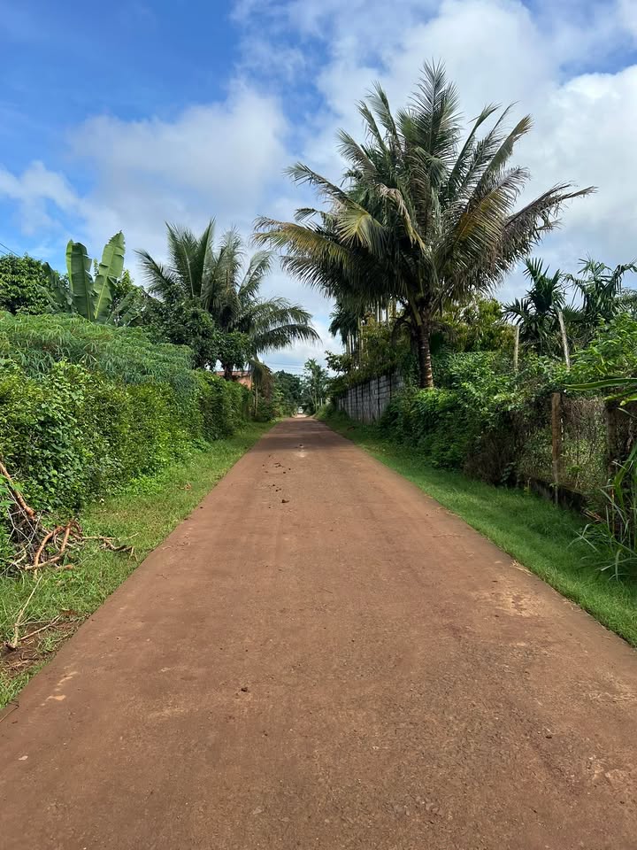 Đất nền Cư Bao - Đường VLXD Quang Hiền 155m² giá chỉ 260 triệu - Đầu tư sinh lời ngay!