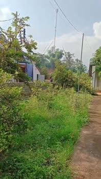 Đất Farm Võ Miếu, Phú Thọ 1927m² - Mặt bằng đẹp, sẵn nhà cấp 4