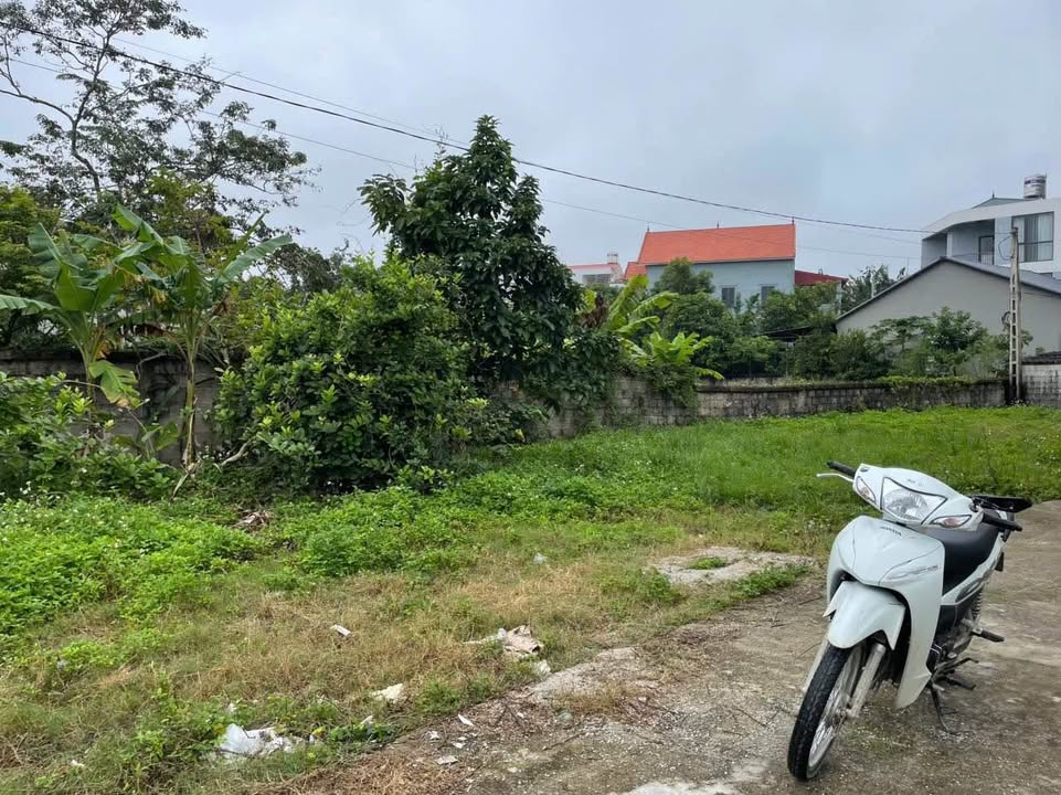 Đất thổ cư Mai Pha, Lạng Sơn 69m² giá 1.3 tỷ - Sổ đỏ chính chủ, đầu tư lý tưởng!